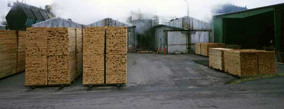 Reliable 50 Hz Wood Drying Kiln Kits Holzmeister M800b Control System