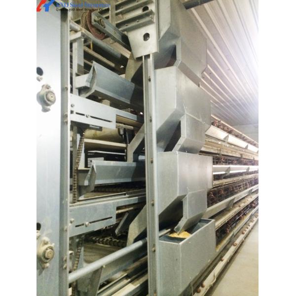 Steel Chicken Layer Cages A Type H Type Automated Battery Cage