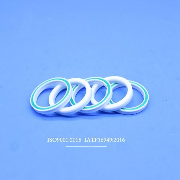 PTFE Sealing Rings Reciprocating Pump Piston Ring Sealing Rings Flooding Seals