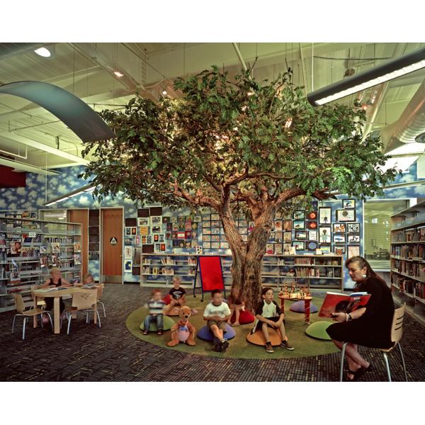 Looks Real Chinese Parasol Tree Large Size For Christmas Decor 6m Height