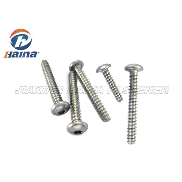 Six Lobe Torx Cheese head Pan Head Self Tapping Screws with hexalobular slot