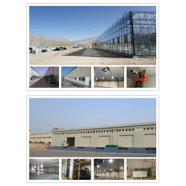 Box type unit —— MINI type compression condensing unit Hydrophilic Aluminum Fins with Corrugated Design for Excellent Heat Transfer Performance in