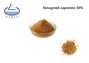 China high quality Fenugreek Seed Extract Fenugreek Saponins on sale