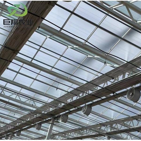 Reefer Container Greenhouse Leafy Vegetables