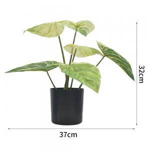 China Artificial Small Green Potted Plants 32cm High 37cm Wide Evergreen Table Plants on sale