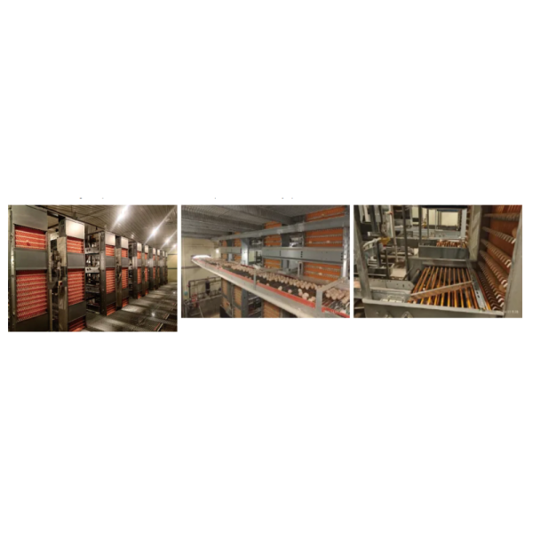 KXD Automatic Battery Cages for Laying Hens - High-Cost-Effective Corrosion Resistant Poultry Layer Farm Equipment with Automated Egg Collection