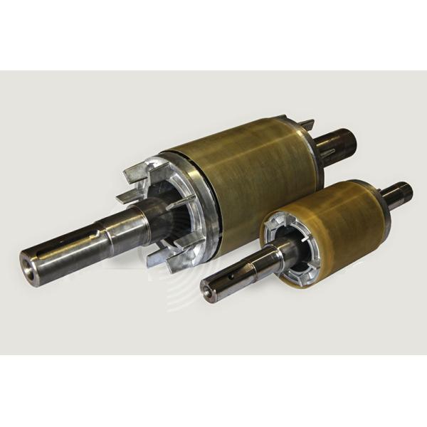 REACH AlNiCo Rare Earth Neodymium Magnet , Steel Shaft Multipole Magnet Rotor