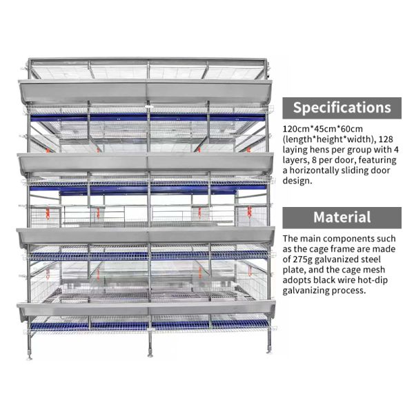 H Type Automatic System Chicken Cage layer Poultry Farming Equipment