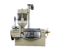 Large Capacity Automatic Feeding System Machine Commerical Cold Press Machine Black Sesame Oil Press Coconut Oil Expeller
