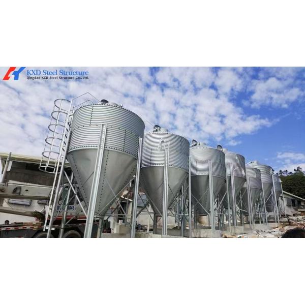 Customized High Strength Pig Feeding System For Livestock Piglet