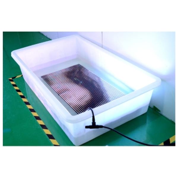 Transparent Mesh Glass Wall Panel P16.67 DIP Outdoor Led Curtain