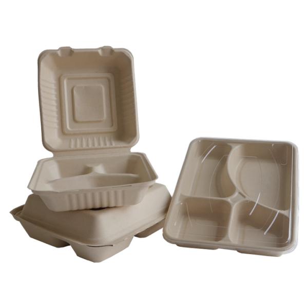 Bagasse Paper Container Biodegradable Paper Plate Disposable Pulp 11" X 8 Inch Bagasse 4-Compartment Tray