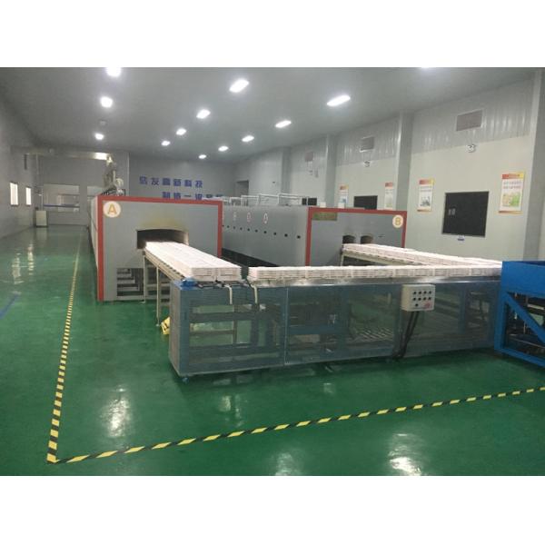 Continuous Mesh Belt Furnace Energy Natural Gas Catalyst Rare Earth Calcination