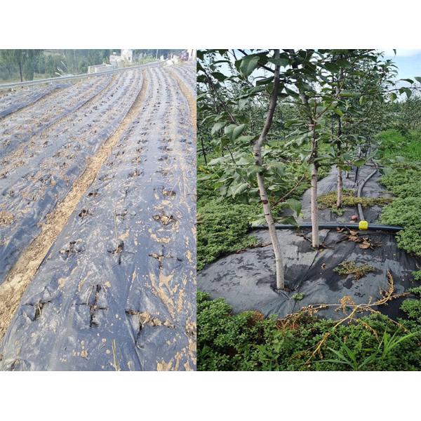 70GSM 8M Weed Mat Pp Woven Ground Cover