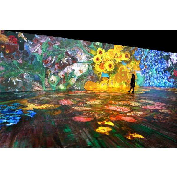 Versatile 12000 Lumen High Definition Projector With 500 Inch Screen