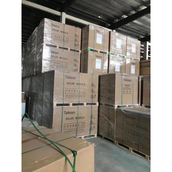 275 Watt Poly Solar Panel