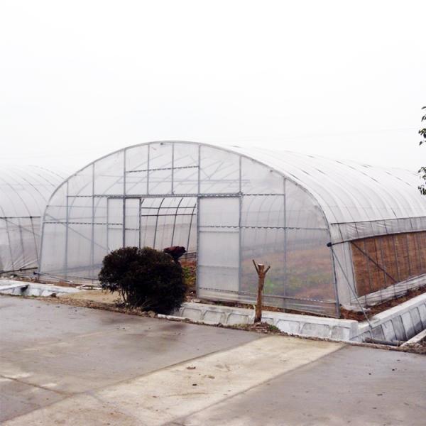 Hydroponic Growing System Single-Span Tunnel Plastic Film Greenhouse Agricultural
