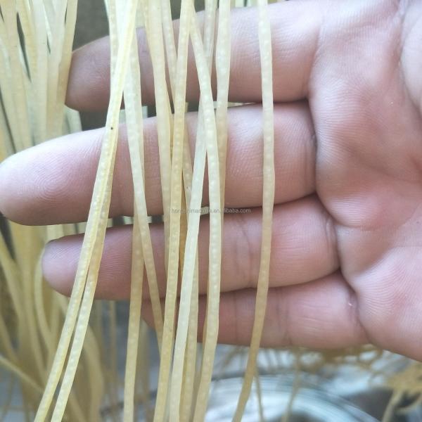 Automatic corn pasta/noodle making machine