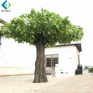 China Large Artificial Mango Tree , Artificial Palm Plants Customized Design on sale