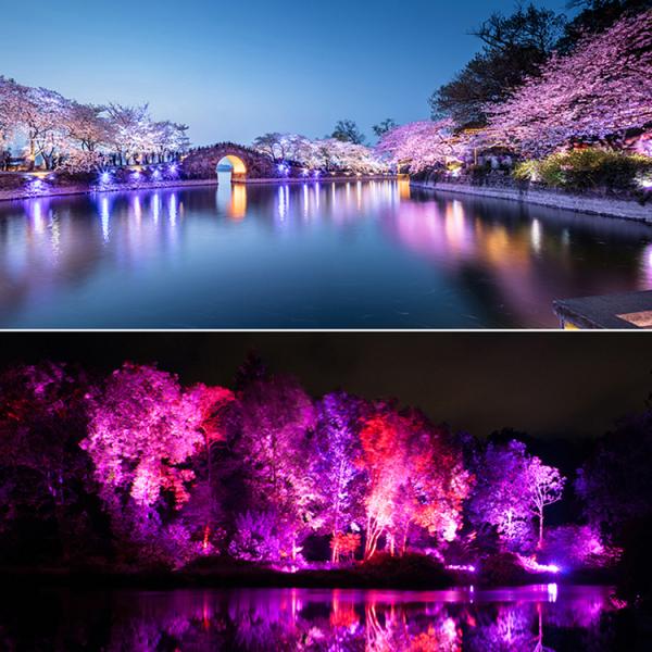 5000K RGB Color Changing Solar Landscape Lights IP44 200 Lumen Solar Path Lights