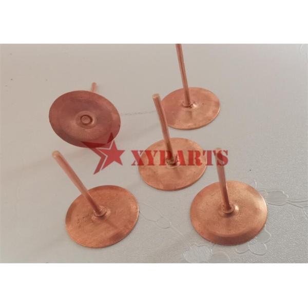 2 Mm X 20 Mm Copper Disc Rivets For Fixing Of Fibre Cement Slates