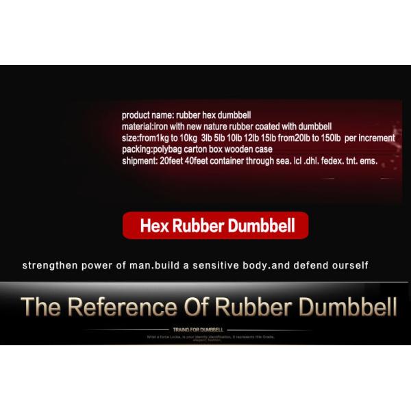 2.5kg 5kg 7.5kg 10kg Cast iron Black Rubber Coated Hex Fixed Dumbbell