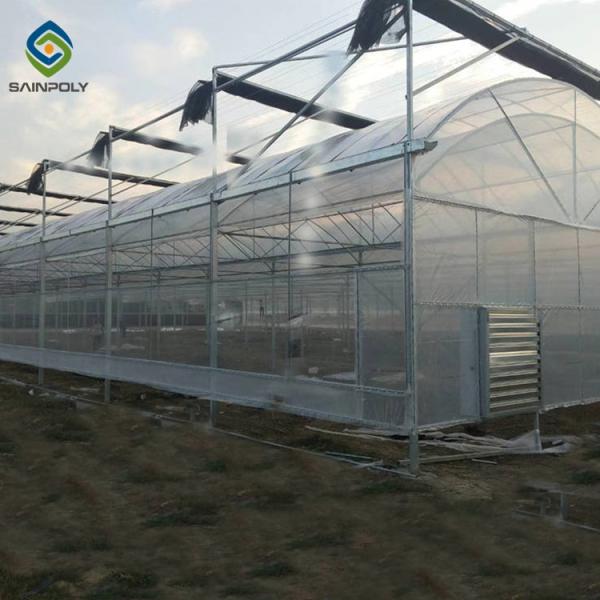 20ft Pe Film Multi Span Greenhouse With Mesh Netting
