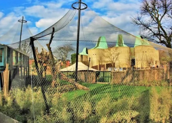 Stainless Steel 316 Cable Rope Mesh 1.6mm for Safety Fence