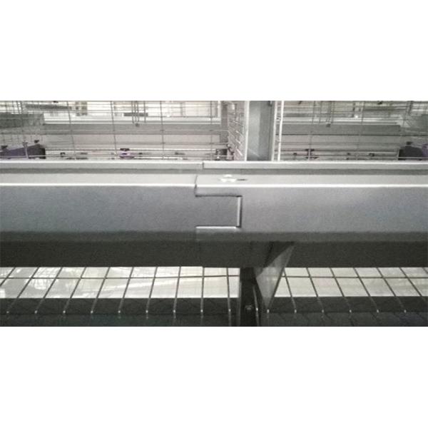 Top Quality H Frame Automatic Chicken Layer Cage Electric Layer Cages