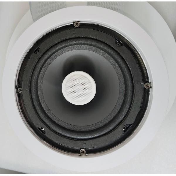 ODM Ceiling Speaker 100V/70V 5 Inch Coaxial Speaker With Rotatable Eyeball Tweeter