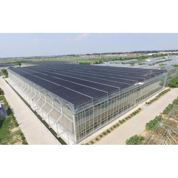 Reefer Container Greenhouse Leafy Vegetables