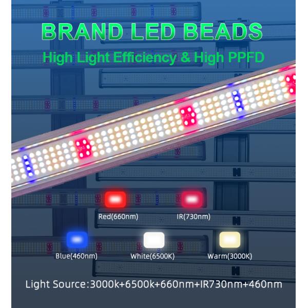 Custom Full Spectrum Far Red LED Grow Light 500W Commercial Indoor Hydroponic Grow Lights