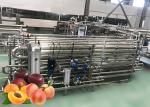 SS304 UHT Pasteurization Machine Pear Paste Turnkey Processing Line
