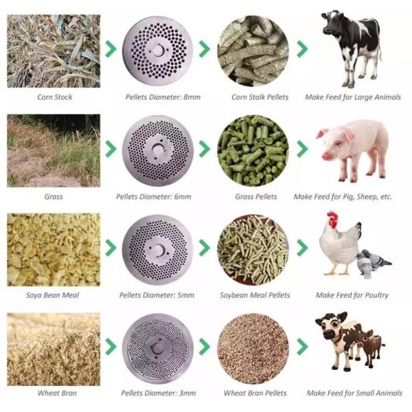 Animal poultry livestock cattle chicken Feed Pellet Production Line