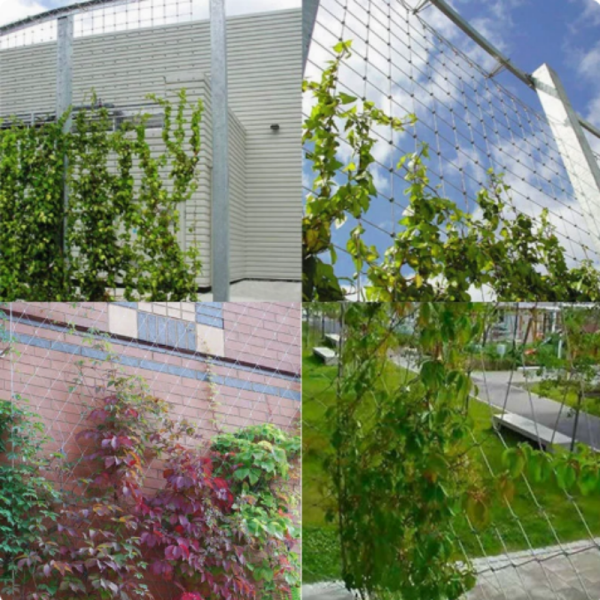 Flexible Stainless Steel Cable Mesh For Garden Vine Climbing