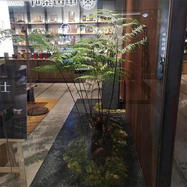 150cm Height Artificial Green Potted Bonsai Window Corner Landscaping Large Fern Tree
