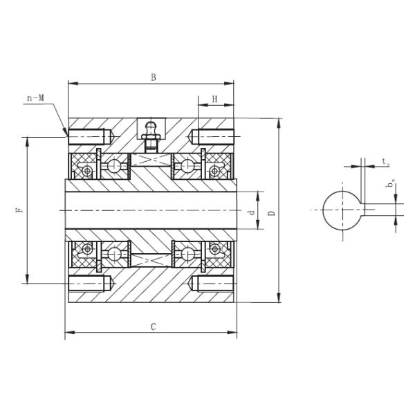 Sprag Type Thickness 124mm One Way Backstop Cam Clutch CKZ-A