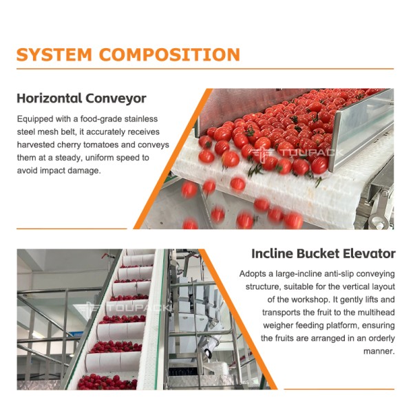 Fruit Tray Sealing Packaging Line | With Automatic Tray Denester & Fruit Linear Weigher