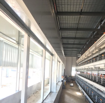 Hot-Dip Galvanized Steel Structure Chicken Coop with Modular Design and Customizable Dimensions for Poultry Farm Building