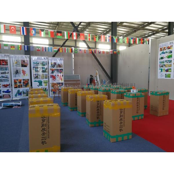 Factory directly Manual pineapple cutter machine