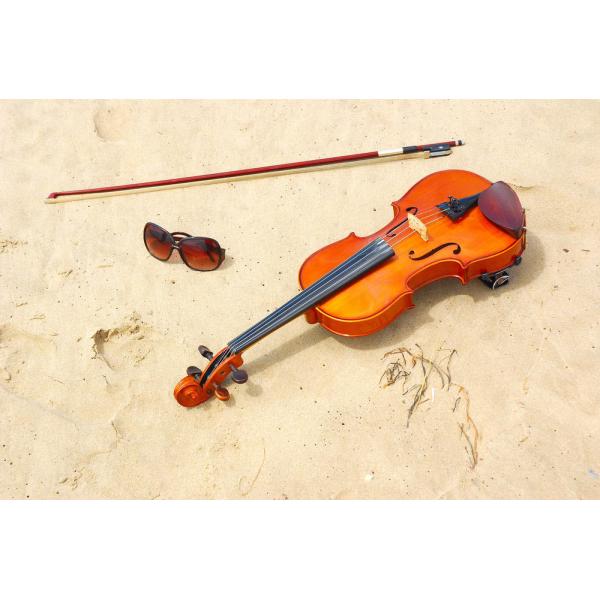 Violin china play Beethoven Violin Sonata No.5 Universal Violin Accessories Professional Use Classical Box For Violin