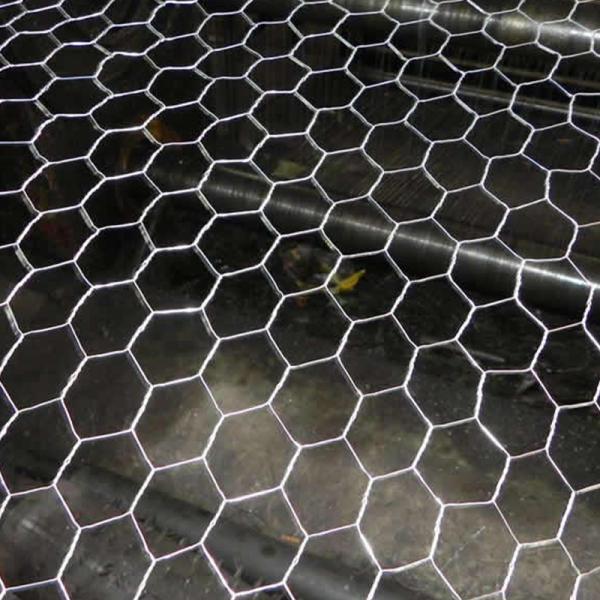 Factory Sale Various Diamond wire mesh hexagonal wire mesh for chicken and pets