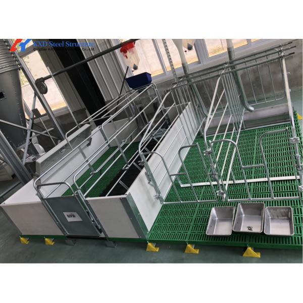 Multifunctional Pig Farrowing Crates Galvanized Pig Farrowing Pen