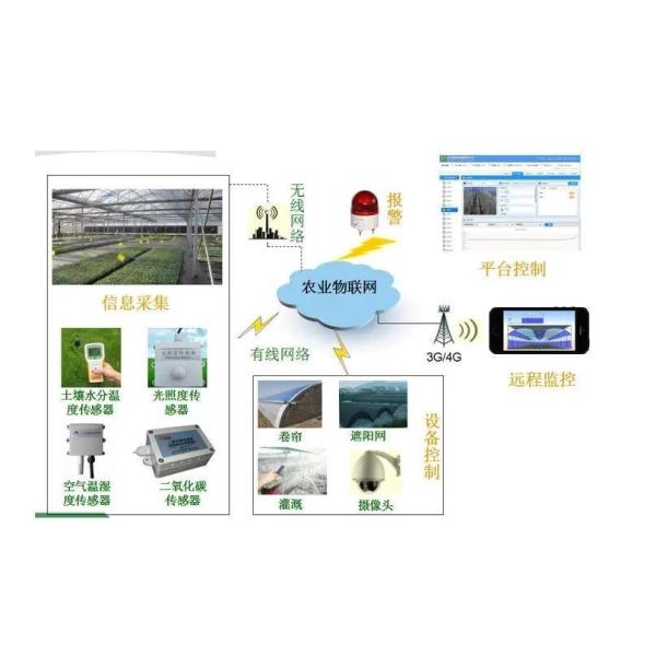Reefer Container Greenhouse Leafy Vegetables