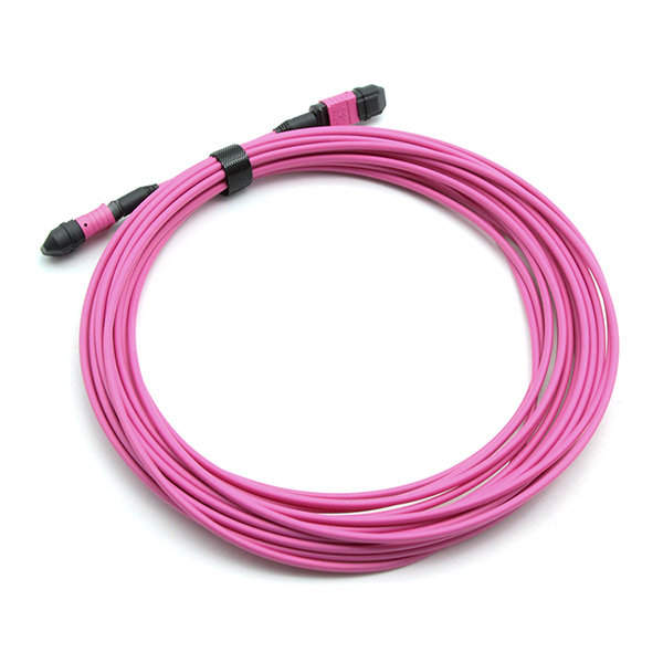 Male To Female MPO Trunk Cable Assembly 12 Fibers Polarity A OM4 OFNP Magenta Jacket