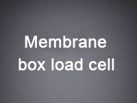 Waterproof Round Load Cell Transmitter