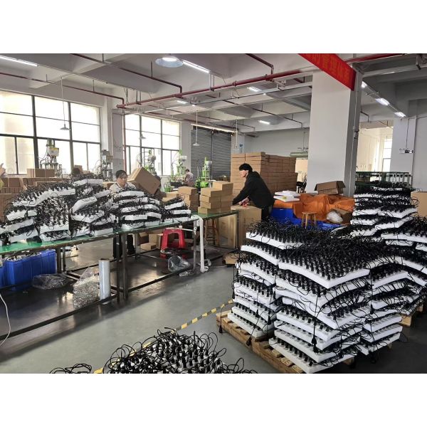 European Smart Lighting Brand Visit China Factory