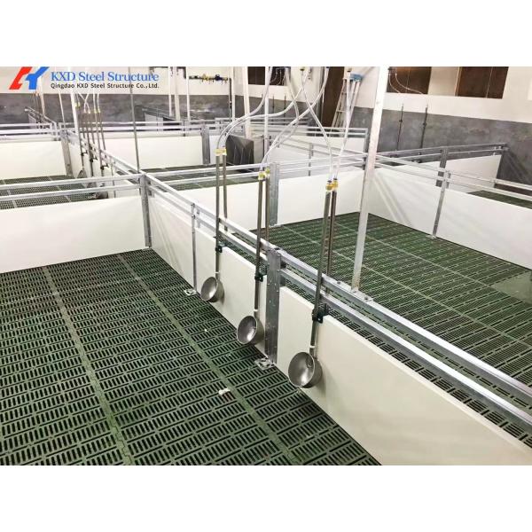 Fast Build Steel Structure Hog House / Hog Shed Customized