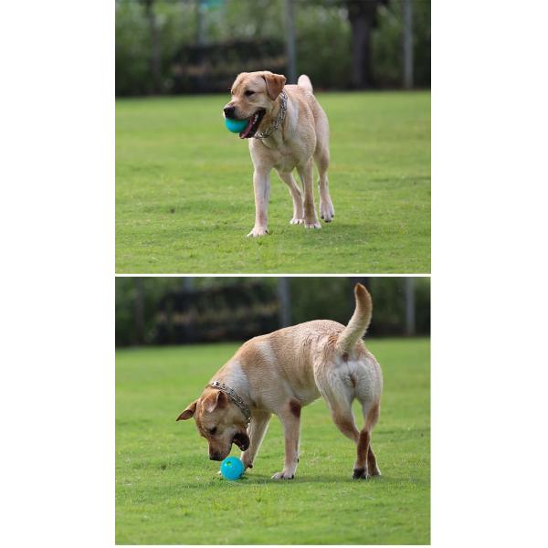 TPR Toy For Pet Light And Easy To Dog Funny Pet Chew Toys And Dog chew toys