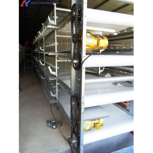 Easy Operate Poultry Environment Control System Poultry Shed Steel Structure